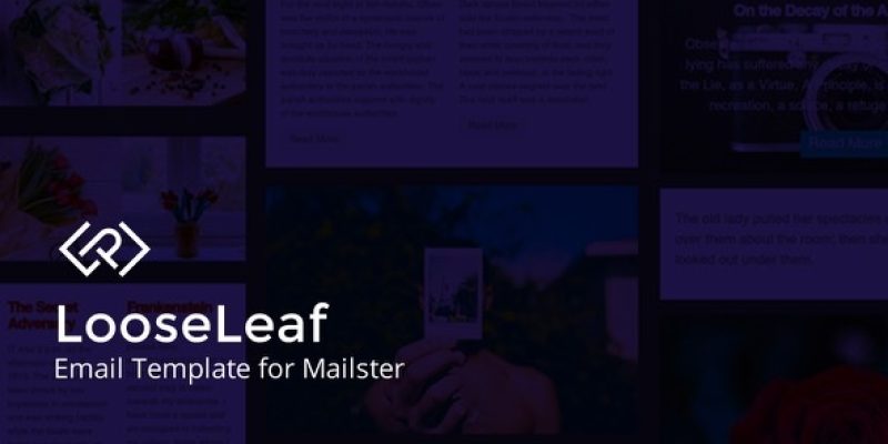 LooseLeaf – Email Template for Mailster