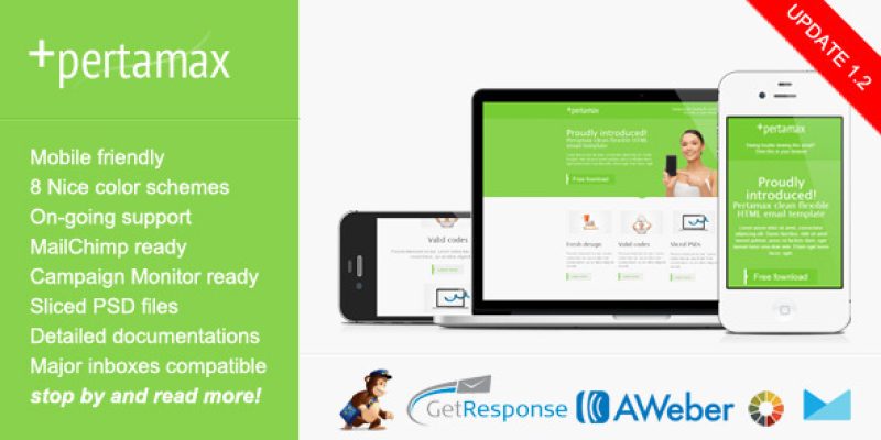 Mobile Friendly HTML Email Template – Pertamax