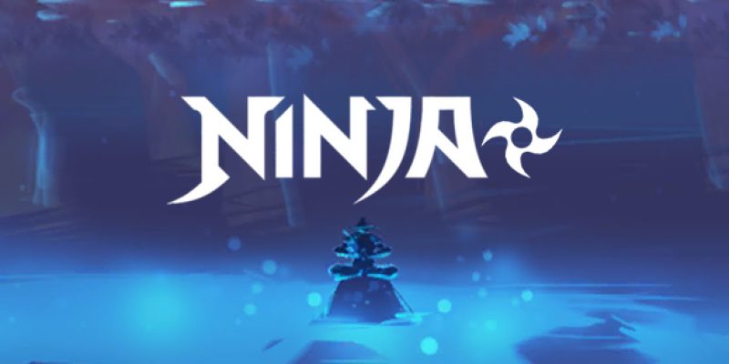 Ninja – Complete Project Unity