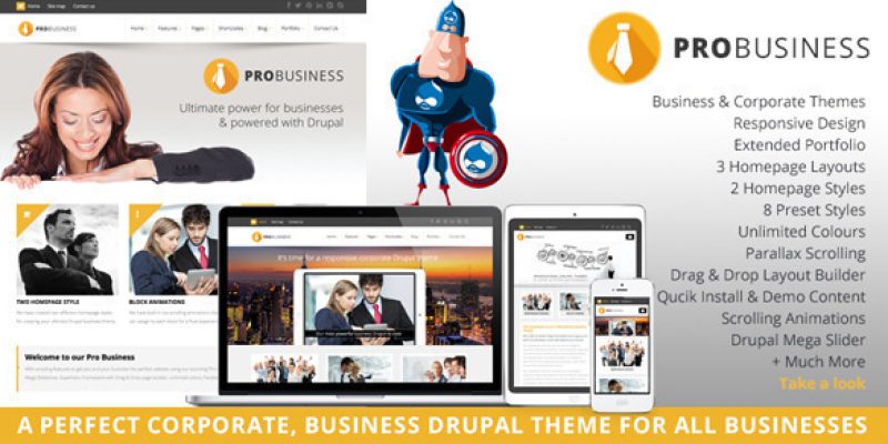 PROBusiness – Multi Purpose Corporate Drupal Theme