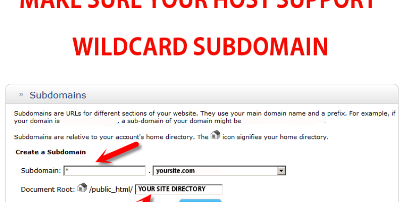 Subdomain Pro