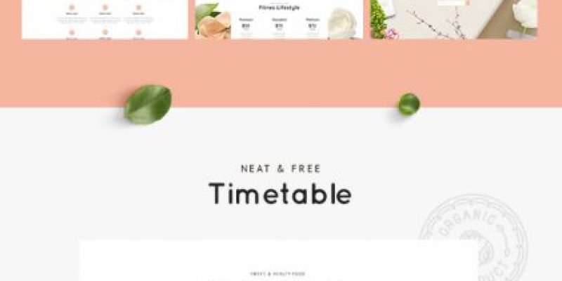 Succulents – Healthy Lifestyle and Wellness Theme
