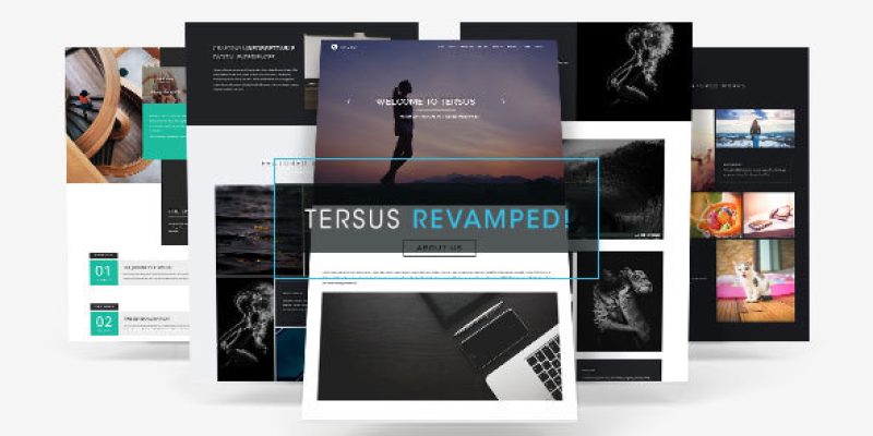 Tersus – Business Portfolio Parallax Muse Template