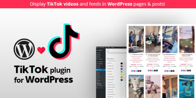 TikTok feed plugin for WordPress