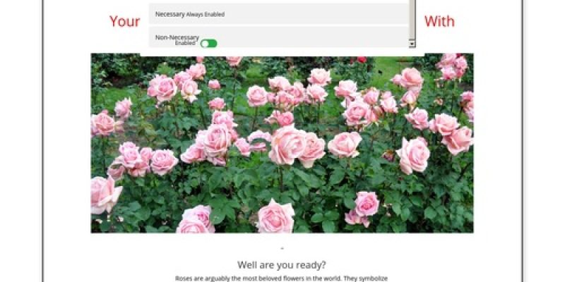 Tips for Growing and Enjoying Your Own Great Rose Garden! | How To Grow Great Roses!
