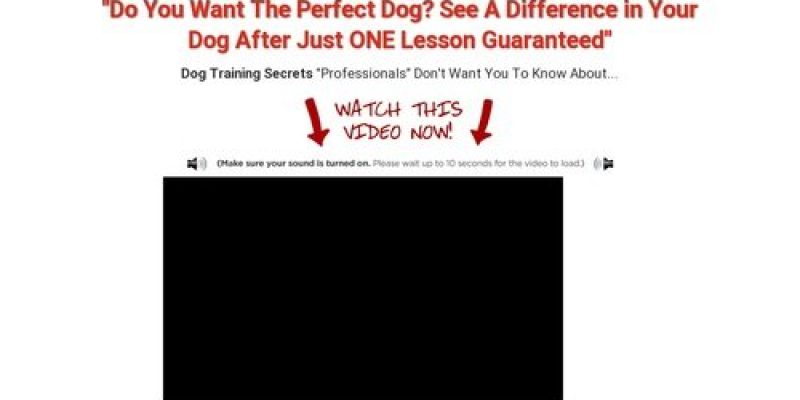 Fix Your Dog – Dog Training Technique