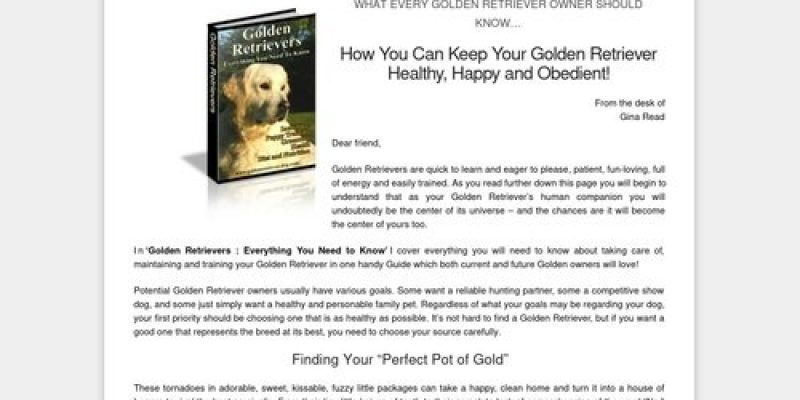 Golden Retriever Care And Training