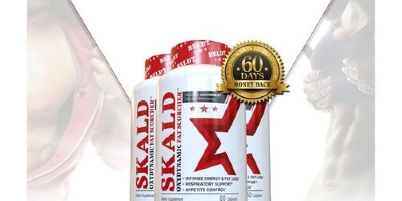 Best Bodybuilding Supplements & Sports Nutrition Store – BELDT.com