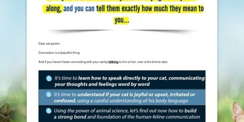 Cat Language Bible™ – Feline-Human Communication Breakthrough