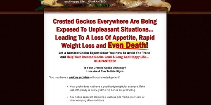 Crested Gecko Secret Manual- Crested Gecko Care