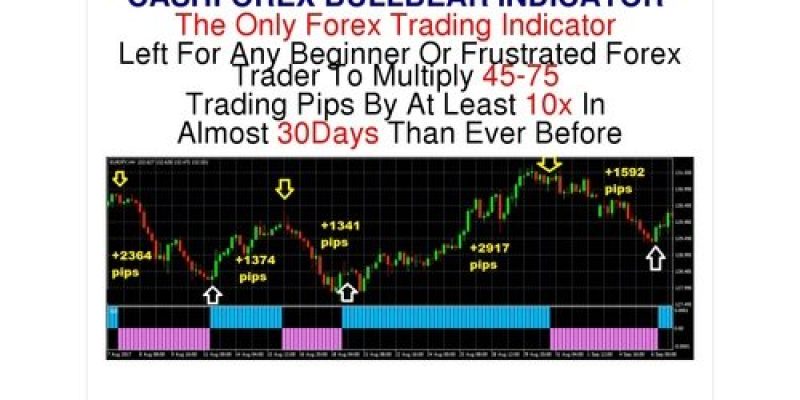 The Cheapest Non-repaint Forex Indicator Online