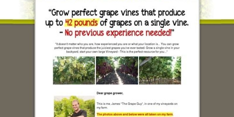 Grow Perfect Grapes
