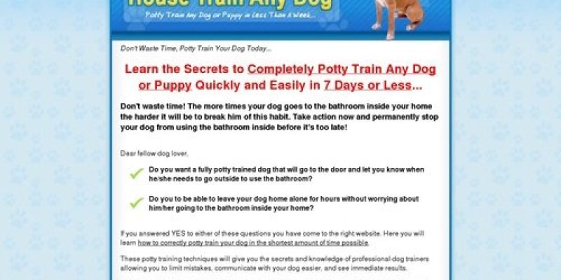 How to Housetrain Any Dog