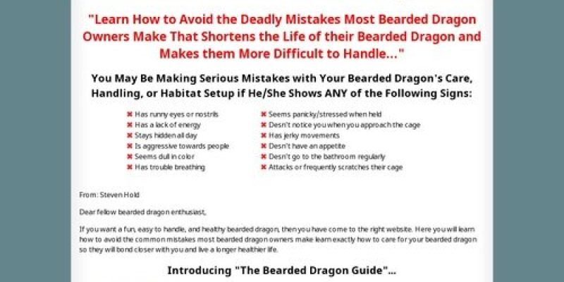 The Bearded Dragon Guide » How to Care for Bearded Dragons