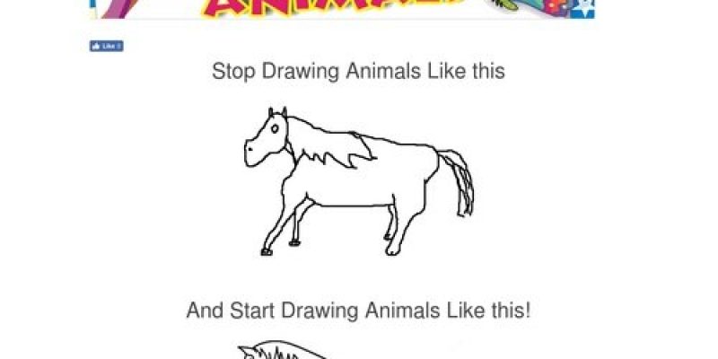 How To Draw Animals – Step by Step Books