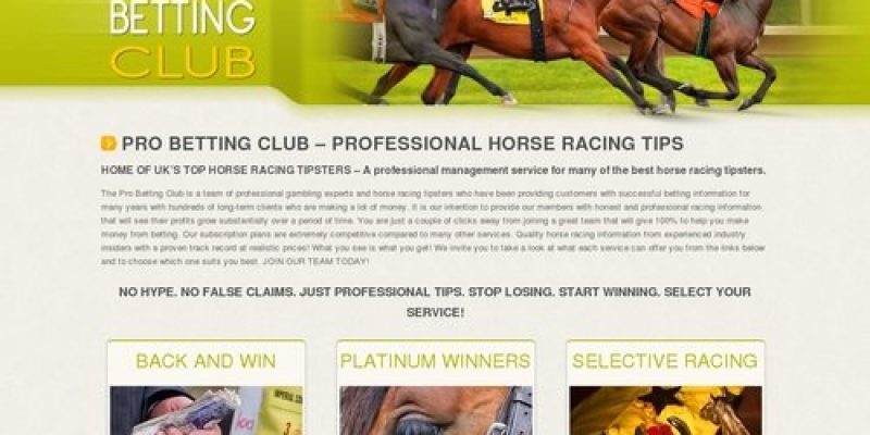 Professional Horse Racing Service