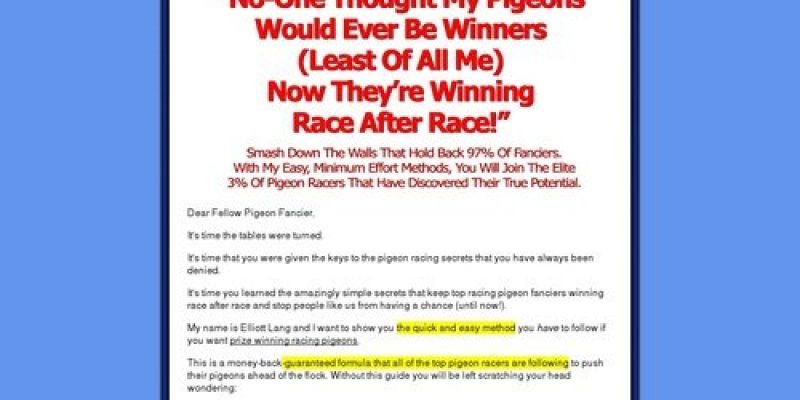 How To Race Pigeons – True Racing Secrets Revealed!