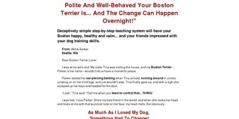 Boston Terrier Secrets