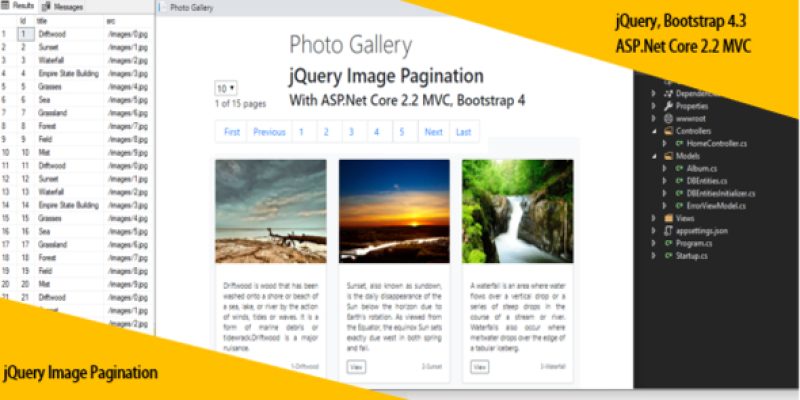 jQuery Image Pagination With ASP.Net Core 2.2 MVC, Bootstrap 4 and SQL Database