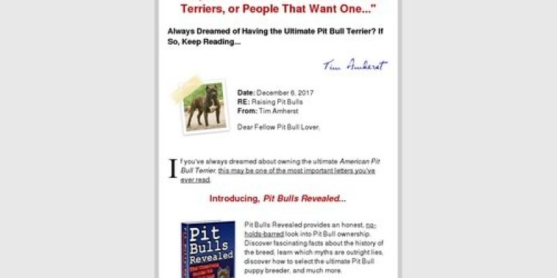 American Pit Bull Terrier Dog Breed Guide | Training Pitbull Puppies | Raising Pitbulls