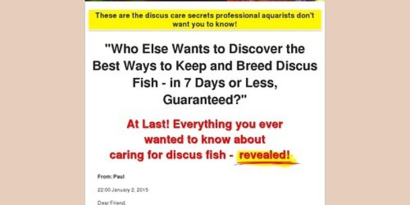 Discus Fish Information