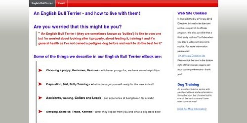 English Bull Terrier | How to live with an English Bull Terrier, Puppies To Adult !