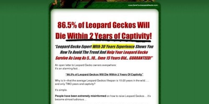 Save Your Leopard Gecko – Leopard Gecko Care