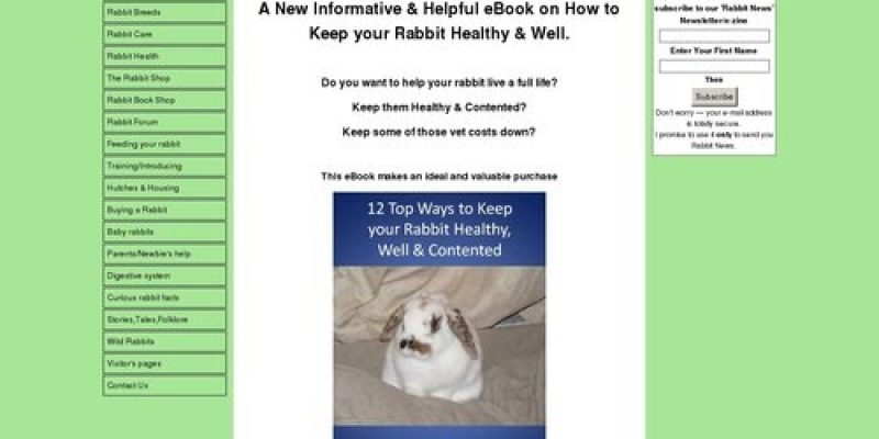 12 top ways to keep your rabbit healthy, well & contented
