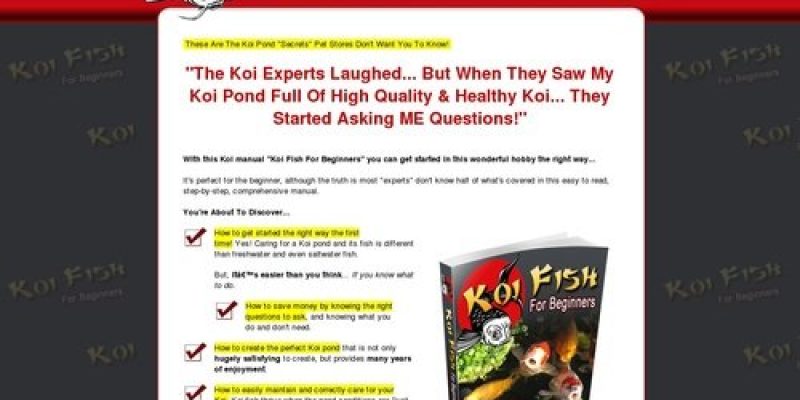 Koi Pond | Koi Fish | Breed Koi