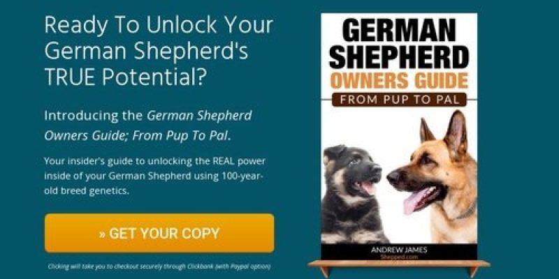 German Shepherd Owners Guide; From Pup To Pal | Shepped.com