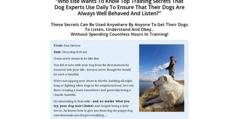 Secrets To Dog Training: Stop Your Dog’s Behavior Problems!