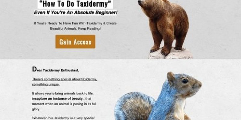 Taxidermy Made Easy – How To Taxidermy Guide: DIY Taxidermy Classes & School
